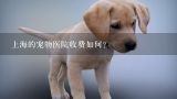 上海的宠物医院收费如何?有谁知道上海派都宝宠物医院收费？