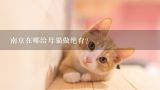 南京在哪给母猫做绝育？请问南京江宁区那边的艾贝尔宠物医院还在营业么？