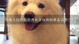 县级人民医院检查狂犬疫苗抗体怎么查？青岛宠物医院泰迪全面检查一次多少钱？哪个宠物医院最好