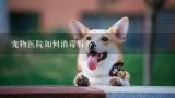 宠物医院如何消毒服务？深圳市小萌宠物科技有限公司电话是多少？