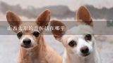 山西太原的兽医站在哪里,深圳宝安区哪里有宠物市场？