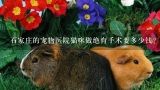 石家庄的宠物医院猫咪做绝育手术要多少钱？广州市有哪家宠物医院给母猫做绝育价格合理又安全的呃？