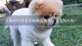 上海闵行区龙茗路附近有些什么宠物医院?上海枫泾哪有宠物医院？