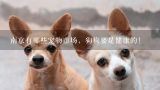 南京有哪些宠物市场，狗狗要是健康的！,我想知道深圳龙华大浪附近我有多少宠物医院，具体地