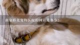 南京桥北宠物医院的网站是多少?