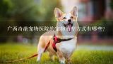 广西奇葩宠物医院的宠物治疗方式有哪些?