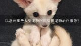 以惠州哪些大型宠物医院提供宠物治疗服务?