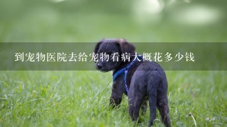 到宠物医院去给宠物看病大概花多少钱