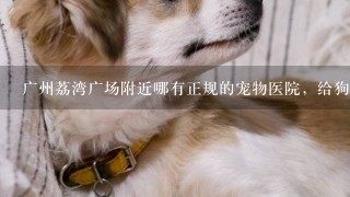 广州荔湾广场附近哪有正规的宠物医院，给狗打疫苗要多少钱？