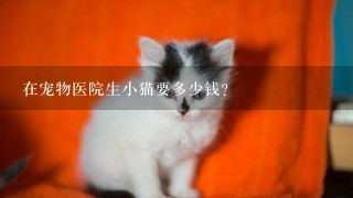 在宠物医院生小猫要多少钱？