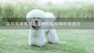 深圳观澜哪里有宠物医院给狗打疫苗针