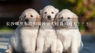 长沙哪里有给狗接种狂犬疫苗的地方？？？