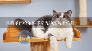 公猫尿闭哈尔滨那家宠物医院看的好?