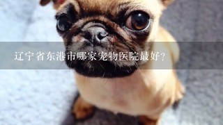 辽宁省东港市哪家宠物医院最好？