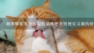 湘潭哪家宠物医院给猫咪绝育既便宜又做的好？