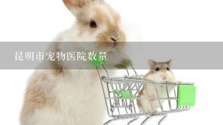 昆明市宠物医院数量