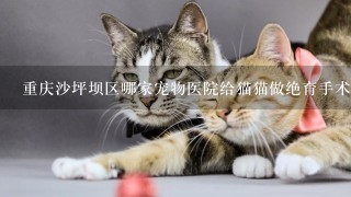 重庆沙坪坝区哪家宠物医院给猫猫做绝育手术好。价格多少？