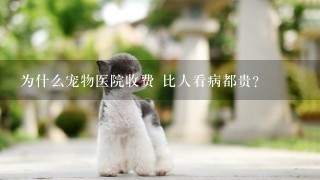 为什么宠物医院收费 比人看病都贵？