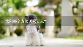 沈阳哪个宠物医院好点？