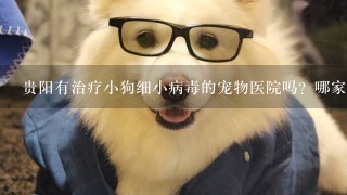 贵阳有治疗小狗细小病毒的宠物医院吗？哪家好1点大概费用是多小？