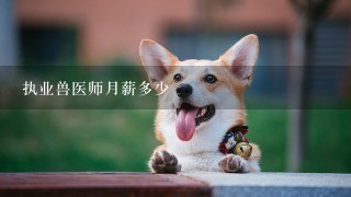 执业兽医师月薪多少