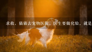 求救，猫猫去宠物医院。医生要做化验。就是B超和验