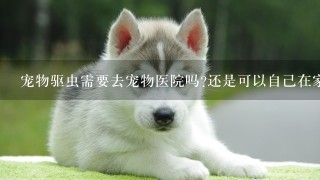 宠物驱虫需要去宠物医院吗?还是可以自己在家给驱虫?