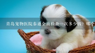 青岛宠物医院泰迪全面检查1次多少钱？哪个宠物医院最好