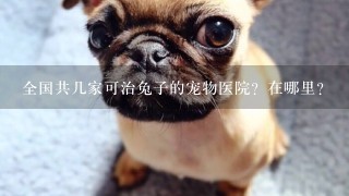 全国共几家可治兔子的宠物医院？在哪里？