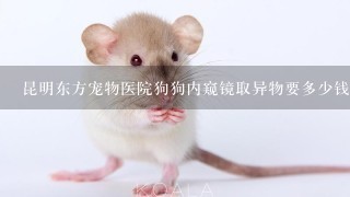 昆明东方宠物医院狗狗内窥镜取异物要多少钱？