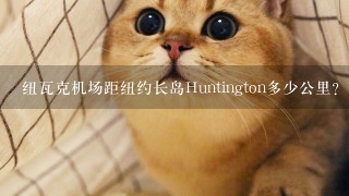 纽瓦克机场距纽约长岛Huntington多少公里?