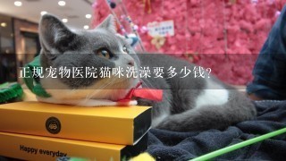 正规宠物医院猫咪洗澡要多少钱?