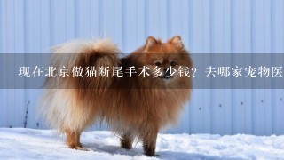 现在北京做猫断尾手术多少钱？去哪家宠物医院比较好？家在海淀区北医3院附近，多谢~