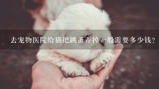 去宠物医院给猫把跳蚤弄掉1般需要多少钱？