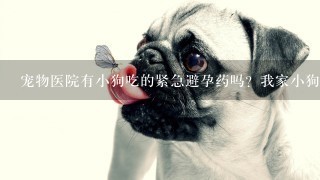 宠物医院有小狗吃的紧急避孕药吗？我家小狗早上出去，被那个了，怎么办？急！！！！