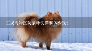 正规宠物医院猫咪洗澡要多少钱?