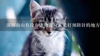 深圳南山有没有宠物医院或是打预防针的地方