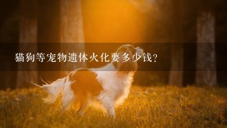 猫狗等宠物遗体火化要多少钱？