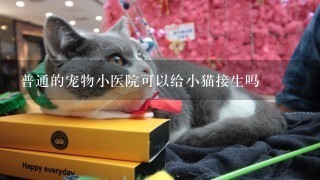 普通的宠物小医院可以给小猫接生吗