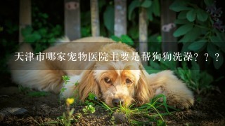 天津市哪家宠物医院主要是帮狗狗洗澡？？？