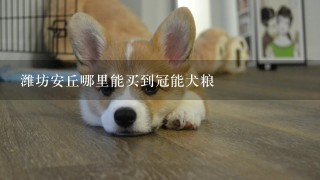 潍坊安丘哪里能买到冠能犬粮