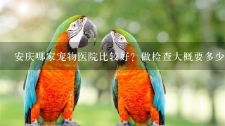 安庆哪家宠物医院比较好？做检查大概要多少钱？