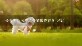 长春宠物医院给公猫做绝育多少钱?