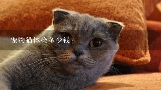 宠物猫体检多少钱？