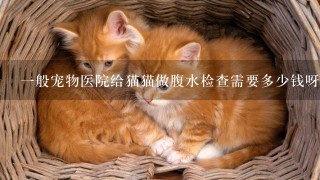 1般宠物医院给猫猫做腹水检查需要多少钱呀？在线等，挺急的，谢谢各位了