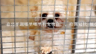 嘉兴平湖哪里哪里有宠物店。检测冠状 细小 犬瘟需要多少钱。