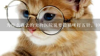 为什么我去的宠物医院说要给猫咪打5针。100元1针