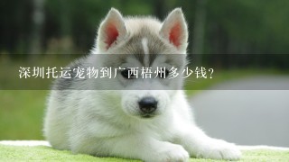 深圳托运宠物到广西梧州多少钱？