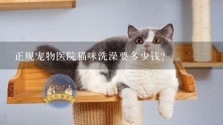 正规宠物医院猫咪洗澡要多少钱?