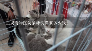 正规宠物医院猫咪洗澡要多少钱?